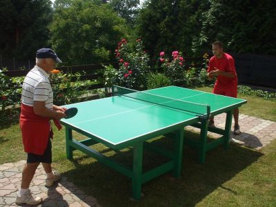 2009 stolní tenis