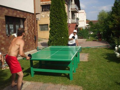 2010 stolní tenis
