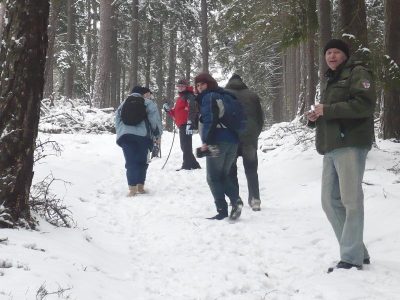 2010 Brdonoš