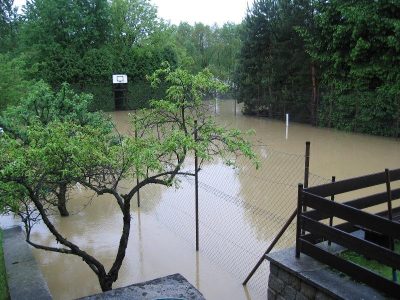 2006 i takto vypadal kurt