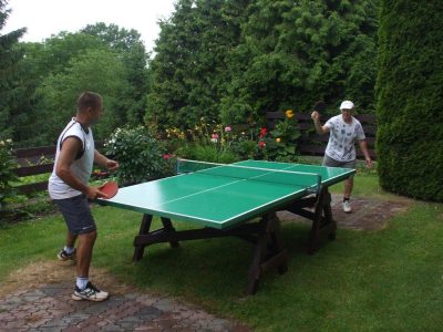 2013 stolní tenis