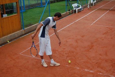 2010 tenis