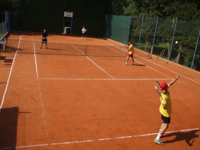 2014 tenis