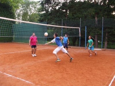 2014 volejbal