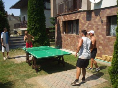 2013 stolní tenis