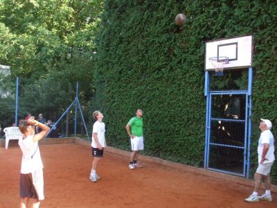 2013 košíková