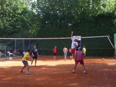 2013 volejbal